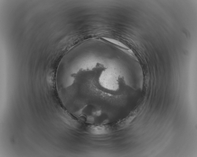 X0000113370181200909291059