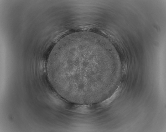 X0000113370182200909291059