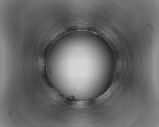 X0000113370184200909291059