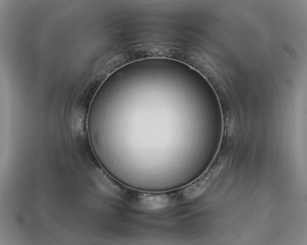 X0000113370185200909291059