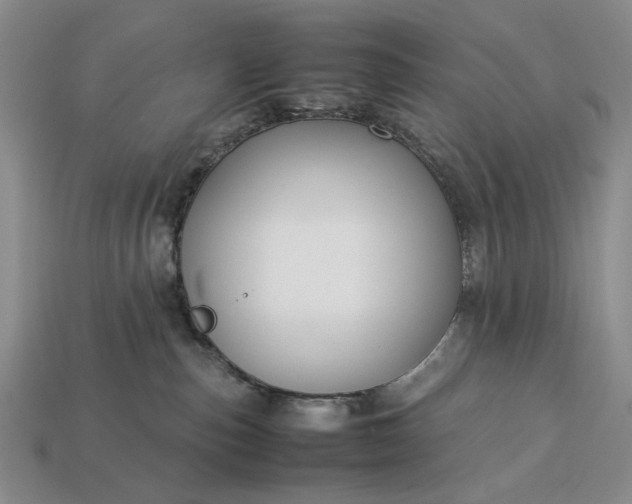 X0000113370187200909291059