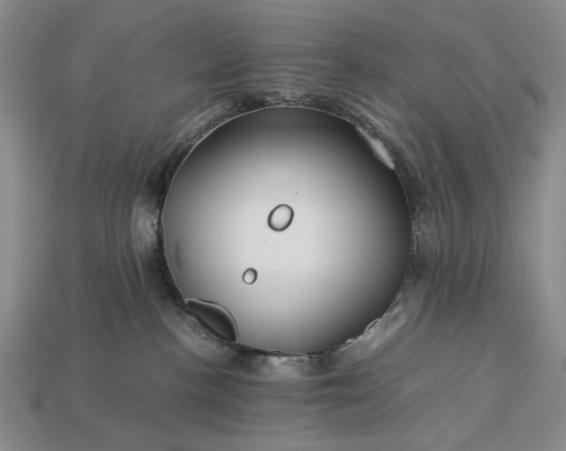 X0000113370188200909291059