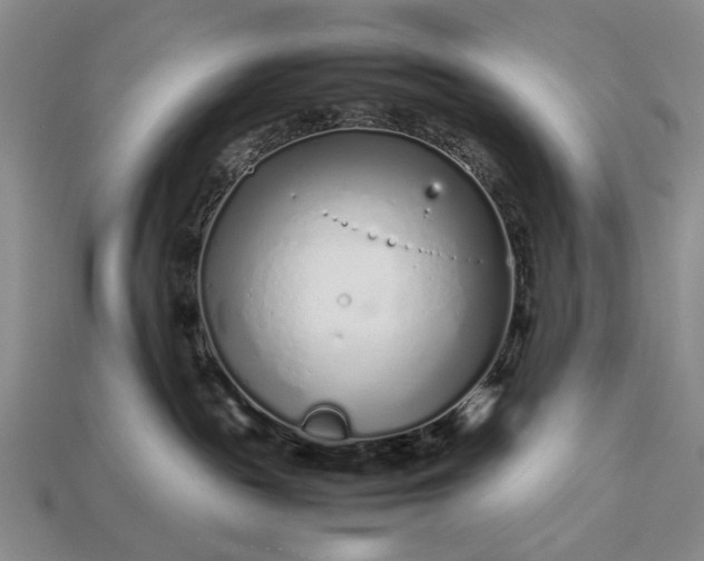 X0000113370189200909291059