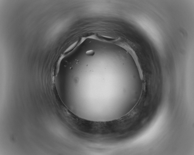 X0000113370190200909291059