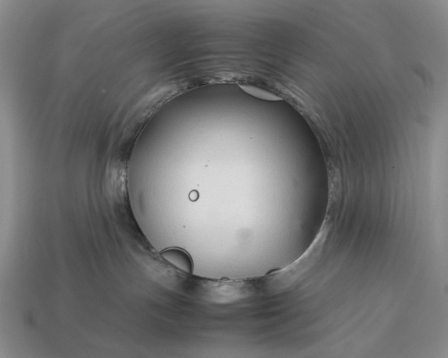 X0000113370191200909291059