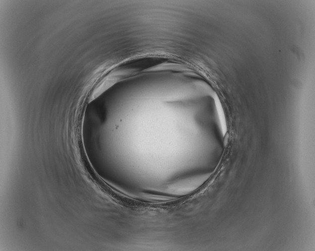 X0000113370193200909291058