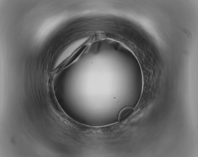 X0000113370194200909291058