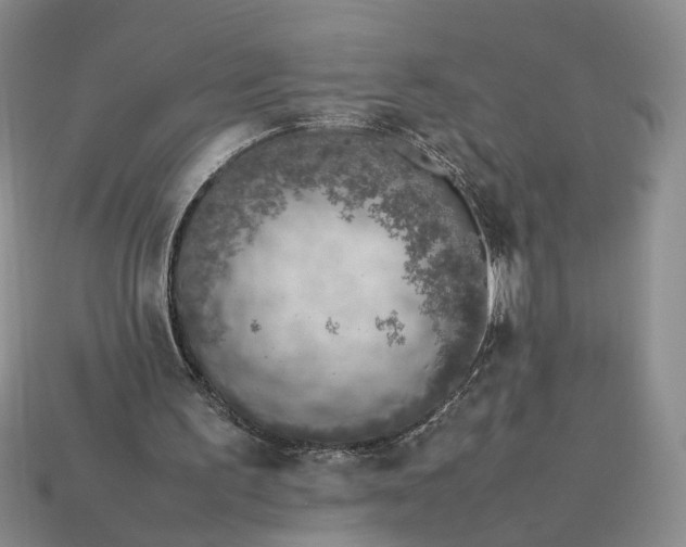 X0000113370195200909291058