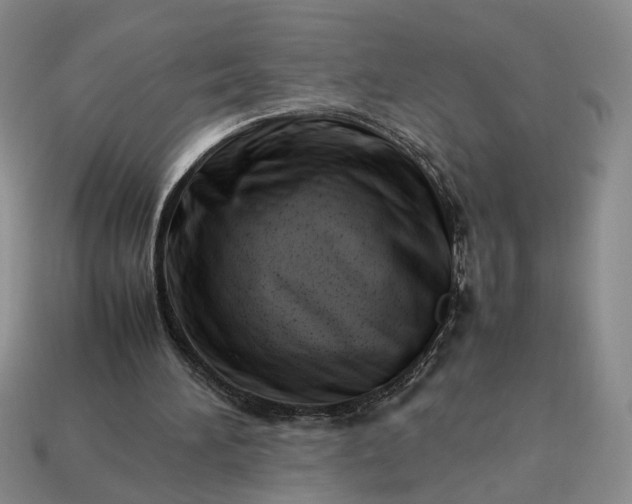 X0000113370196200909291058