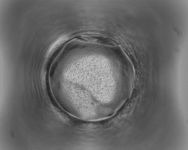 X0000113370197200909291058