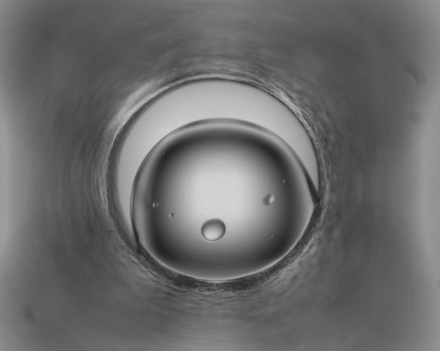 X0000113370199200909291058