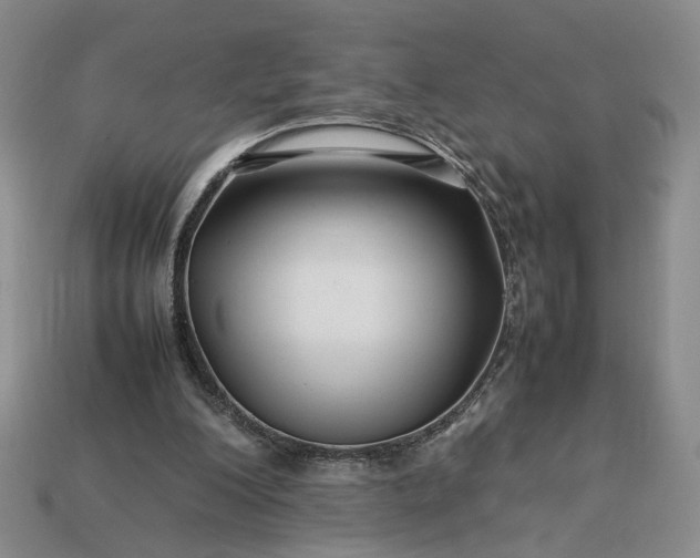 X0000113370200200909291058