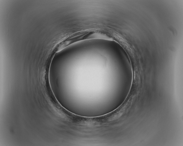 X0000113370201200909291058