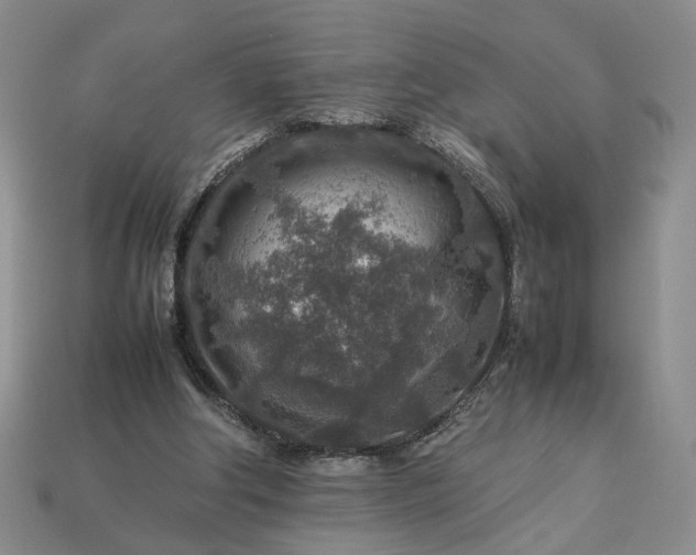 X0000113370202200909291058