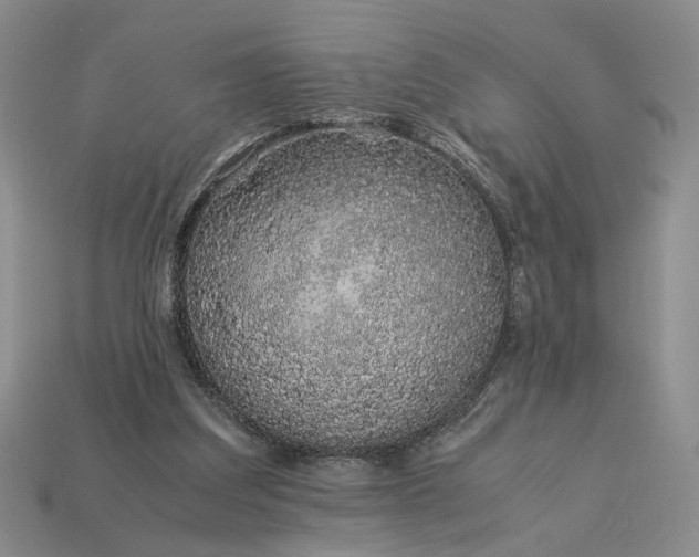 X0000113370203200909291058