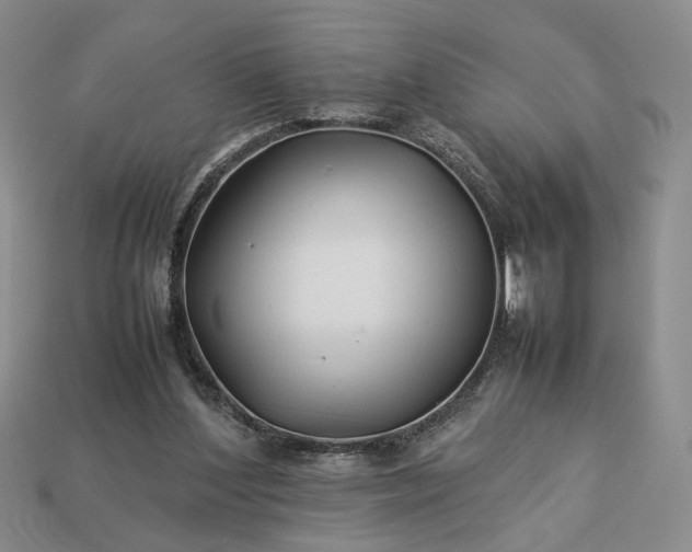 X0000113370204200909291058