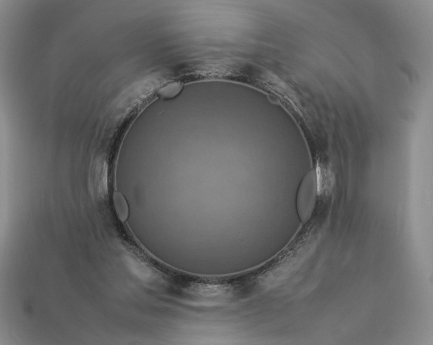 X0000113370205200909291058