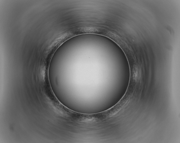 X0000113370206200909291058