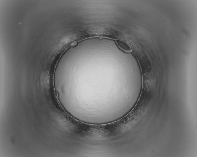 X0000113370207200909291058