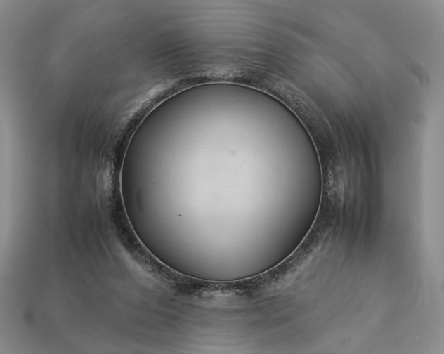 X0000113370208200909291058