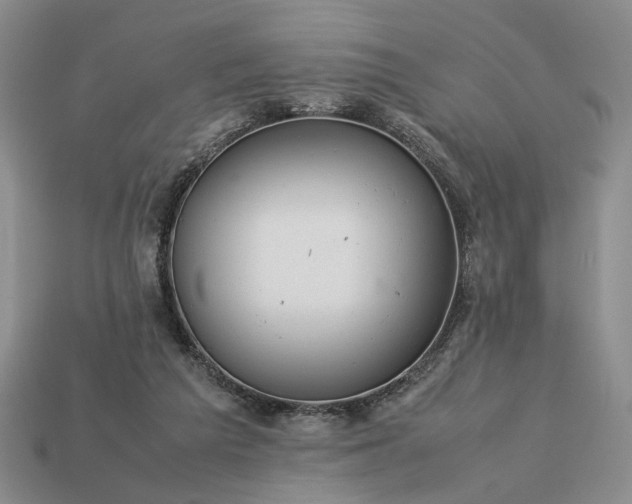 X0000113370209200909291058