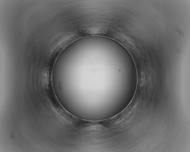 X0000113370210200909291058