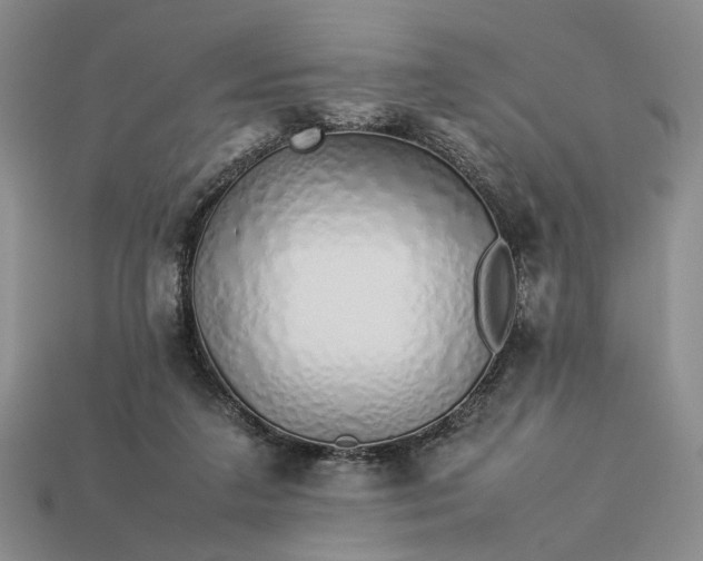 X0000113370211200909291058