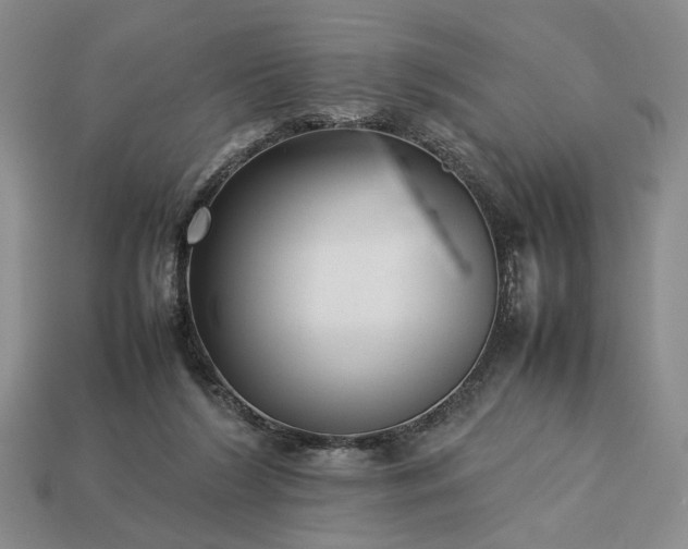 X0000113370212200909291058