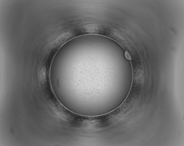 X0000113370213200909291058