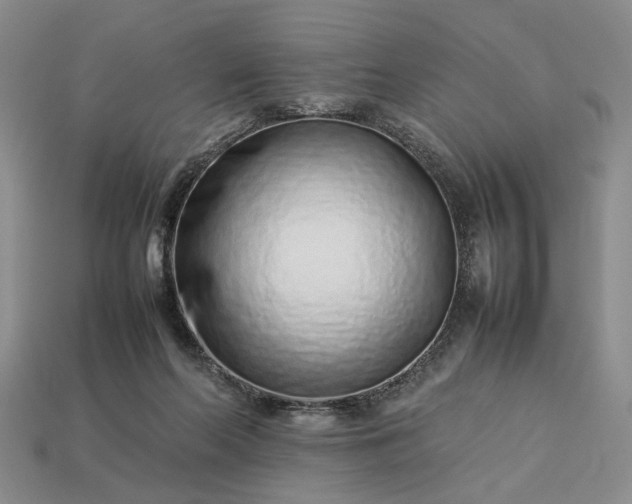 X0000113370214200909291058