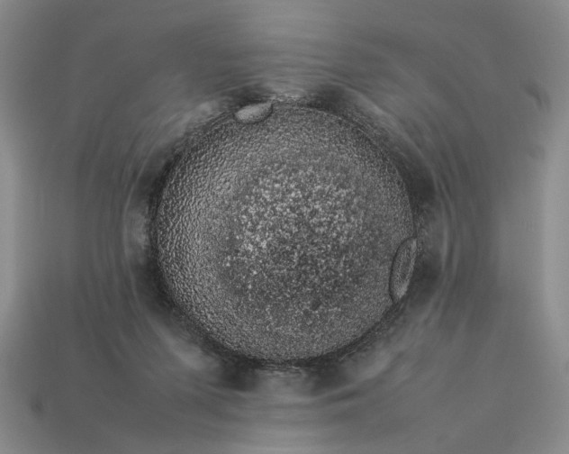 X0000113370215200909291058