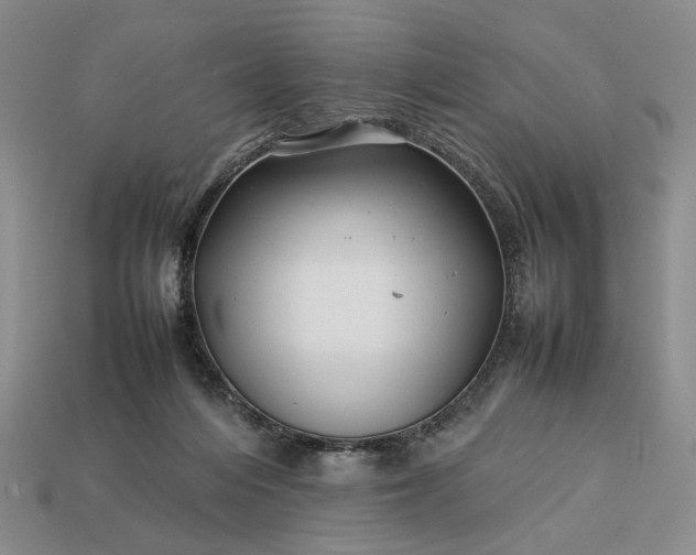 X0000113370216200909291058