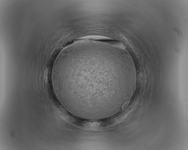 X0000113370217200909291058