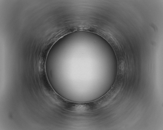 X0000113370218200909291058