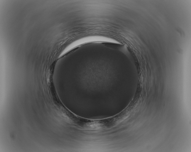 X0000113370219200909291058