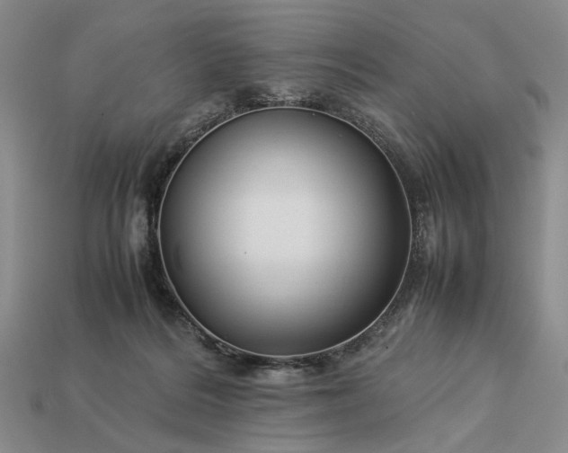 X0000113370220200909291058