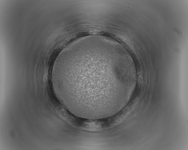 X0000113370221200909291058