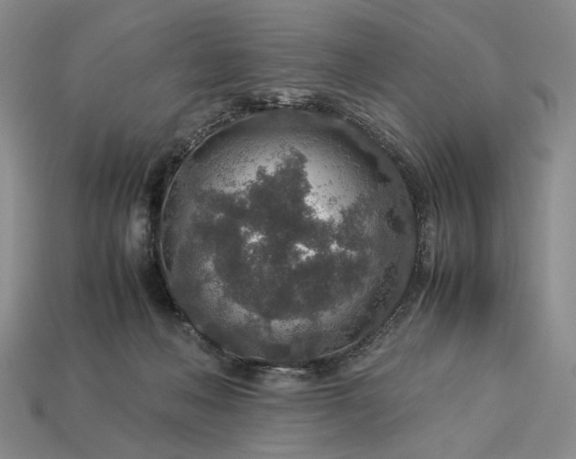 X0000113370222200909291058