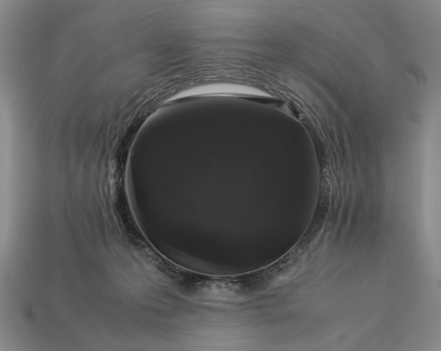 X0000113370223200909291058