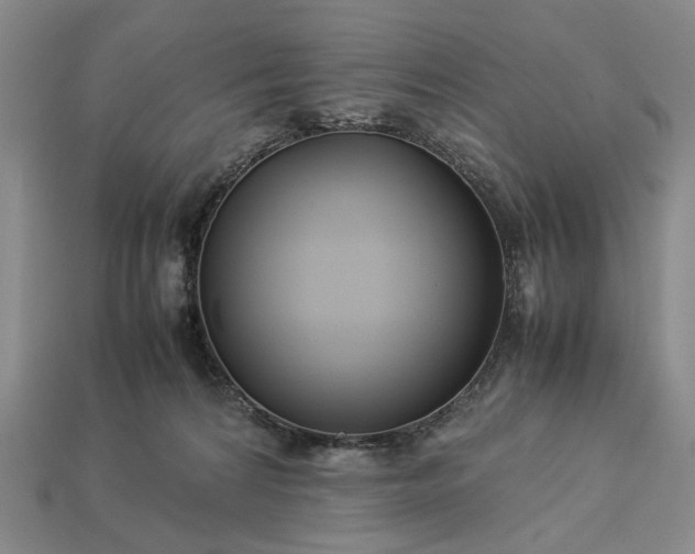 X0000113370224200909291058