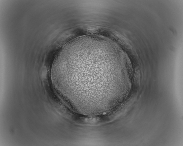 X0000113370225200909291058