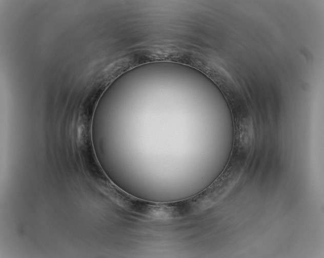 X0000113370226200909291058