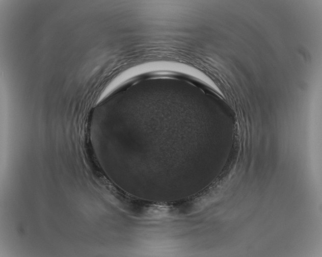 X0000113370227200909291058