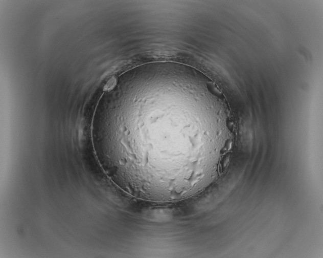 X0000113370228200909291058