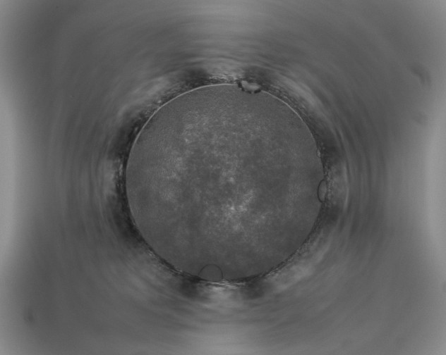 X0000113370229200909291058