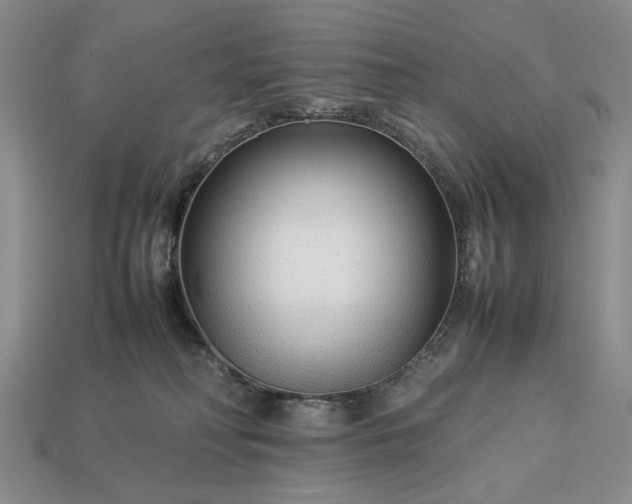 X0000113370230200909291058