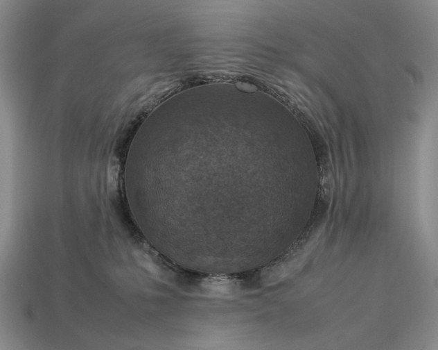 X0000113370231200909291058