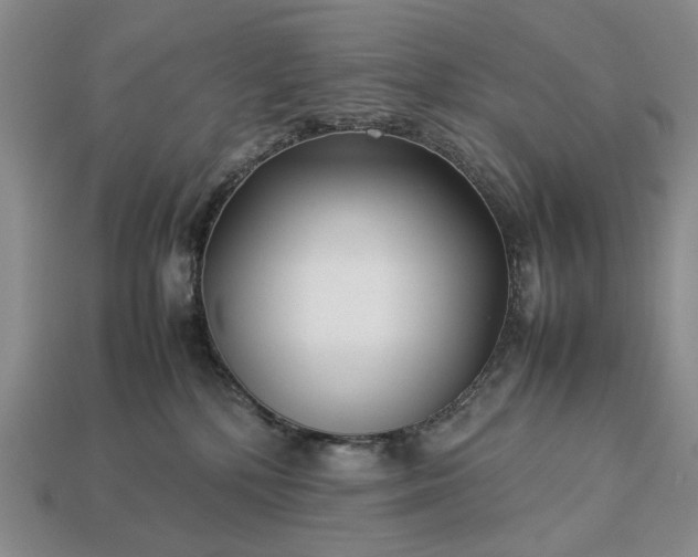 X0000113370232200909291058