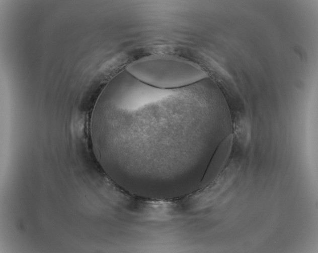 X0000113370233200909291058