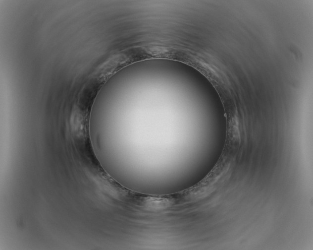 X0000113370234200909291058